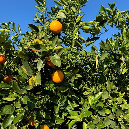 Finca Malata Turís Εξωτερικό φωτογραφία