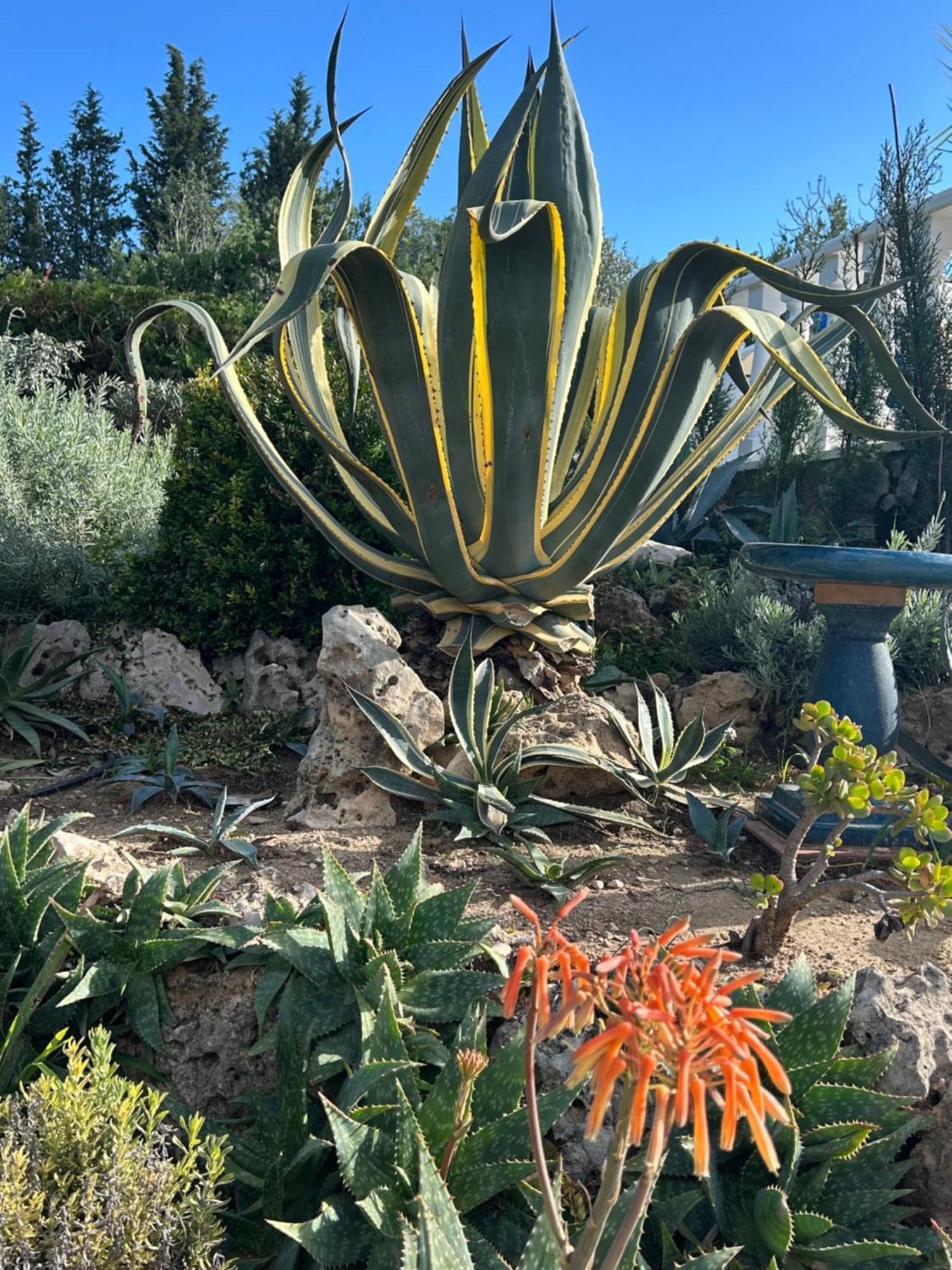 Finca Malata Turís Εξωτερικό φωτογραφία