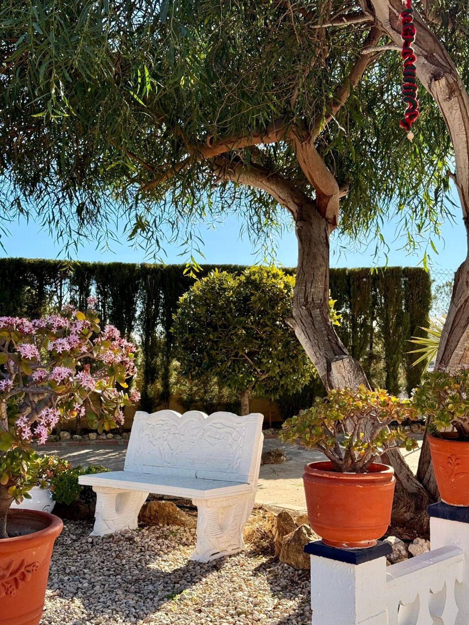 Finca Malata Turís Εξωτερικό φωτογραφία
