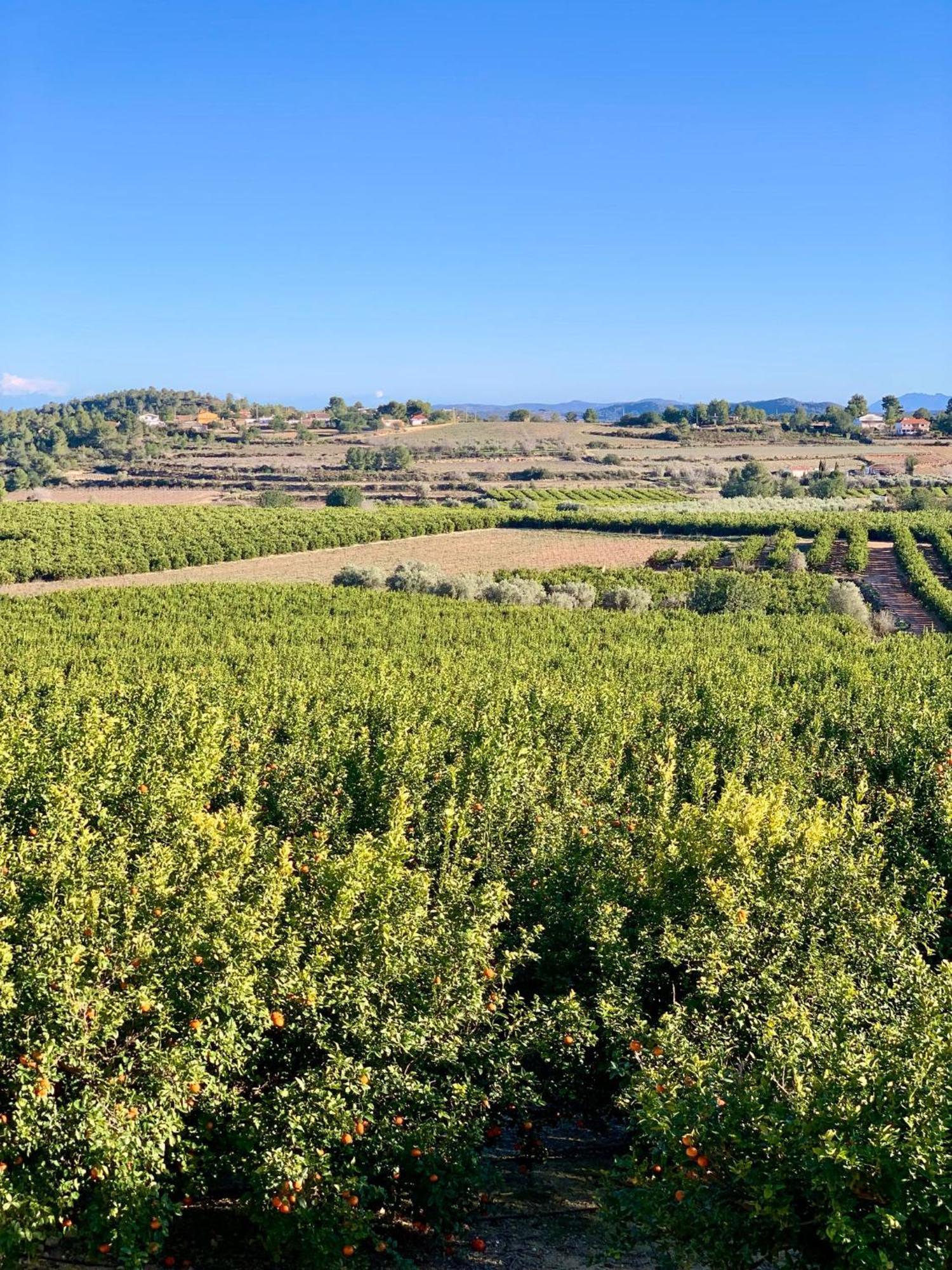 Finca Malata Turís Εξωτερικό φωτογραφία